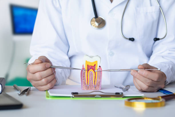 Best Pediatric Emergency Dentist in Rolling Meadows, IL